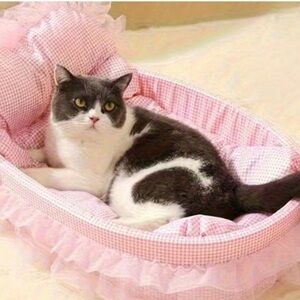Cozy Pink Cat Bed